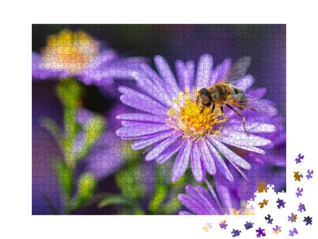 Bee on a Purple Flower. Close-Up... Jigsaw Puzzle with 1000 pieces