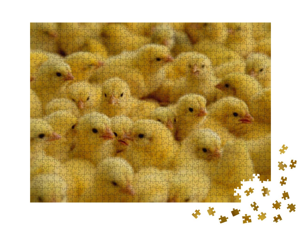Lot of Little Chickens in a Farm... Jigsaw Puzzle with 1000 pieces