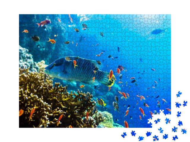 Under Sea Water Fish View Underwater Reef... Jigsaw Puzzle with 1000 pieces