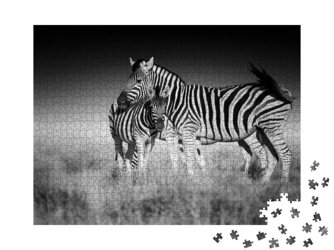 Fine Art, Black & White Photo of Two Burchells Zebra, Equ... Jigsaw Puzzle with 1000 pieces