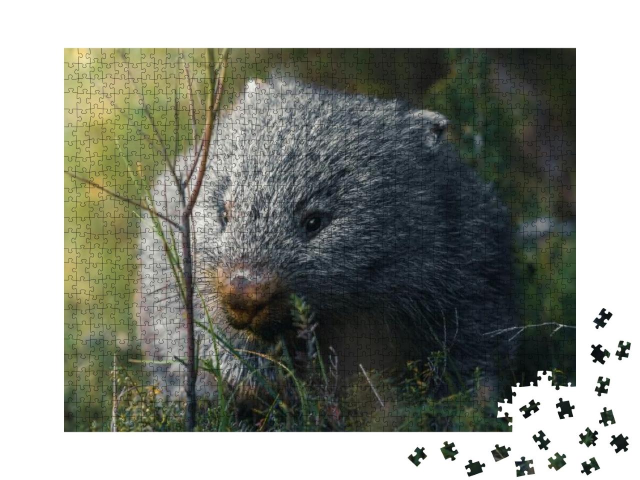 Wombat on His Snack Run... Jigsaw Puzzle with 1000 pieces