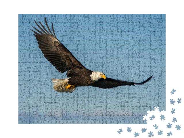 American Bald Eagle Soaring Against Clear Blue Alaskan Sk... Jigsaw Puzzle with 1000 pieces