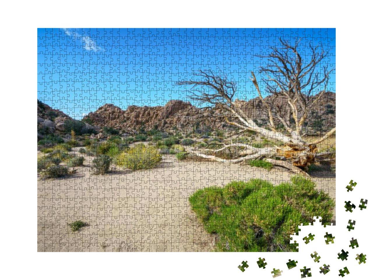 Hiking the Hidden Valley Trail in Joshua Tree National Pa... Jigsaw Puzzle with 1000 pieces
