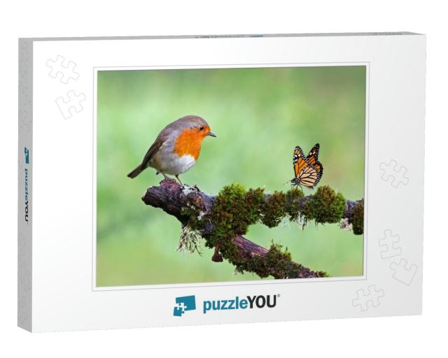 Beautiful Background Image of a Wild Robin Erithacus Rube... Jigsaw Puzzle