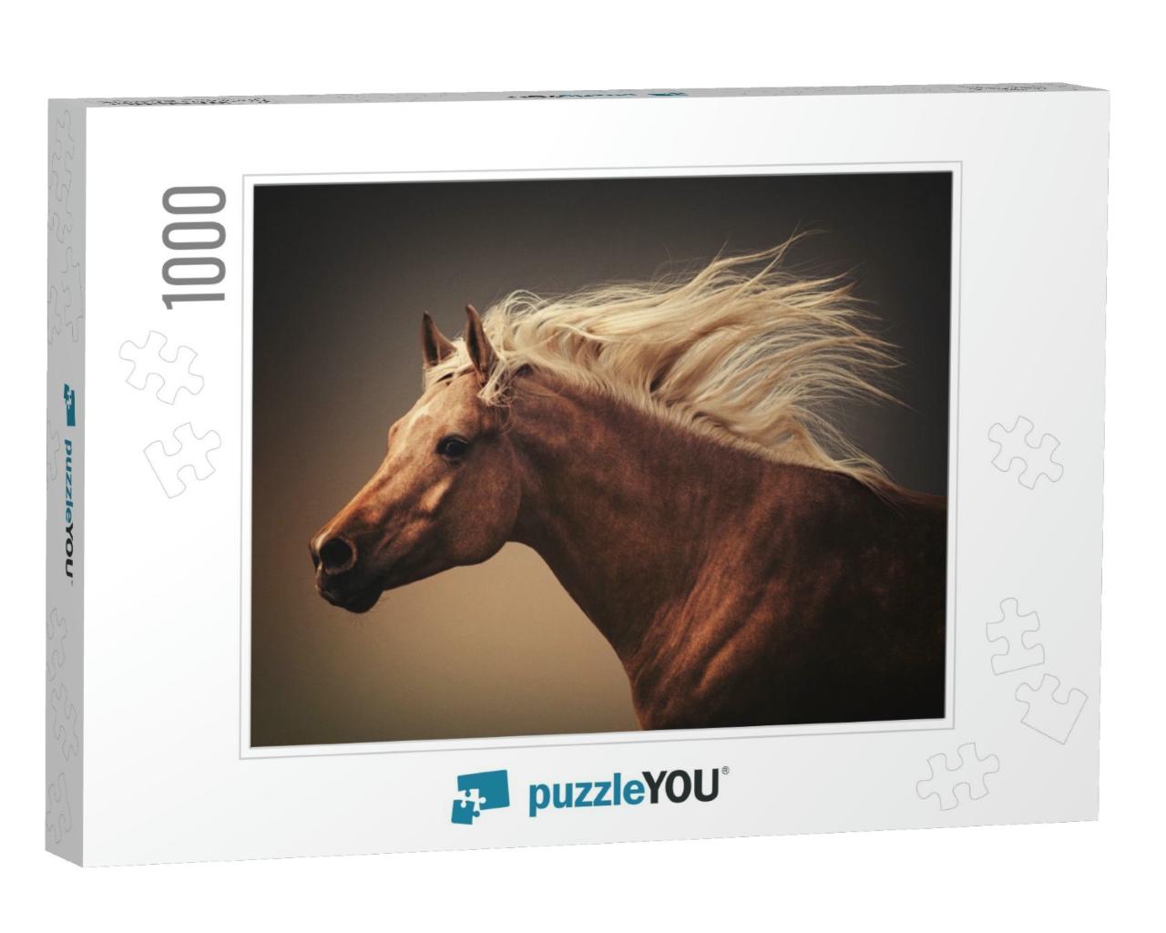 Beautiful Horse Action Portrait in Dust... Jigsaw Puzzle with 1000 pieces