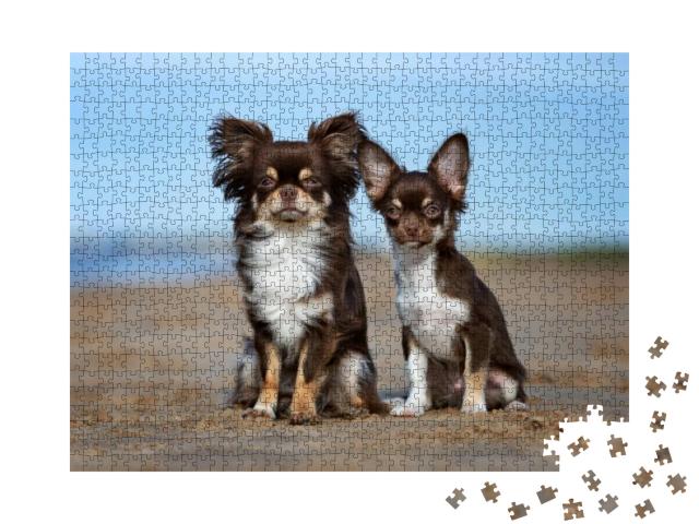 Chihuahua Dog & Puppy Sitting Outdoors... Jigsaw Puzzle with 1000 pieces