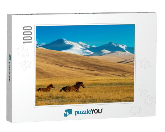 Horses in the Assy Plateau, Near Almaty, Kazakhstan... Jigsaw Puzzle with 1000 pieces