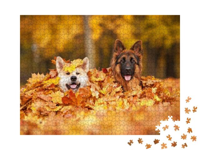 Two Dogs Lying in Leaves... Jigsaw Puzzle with 1000 pieces