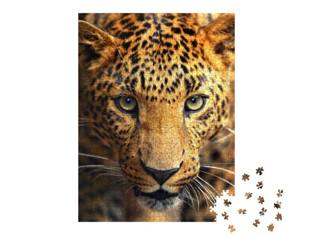 Leopard Portrait... Jigsaw Puzzle with 1000 pieces