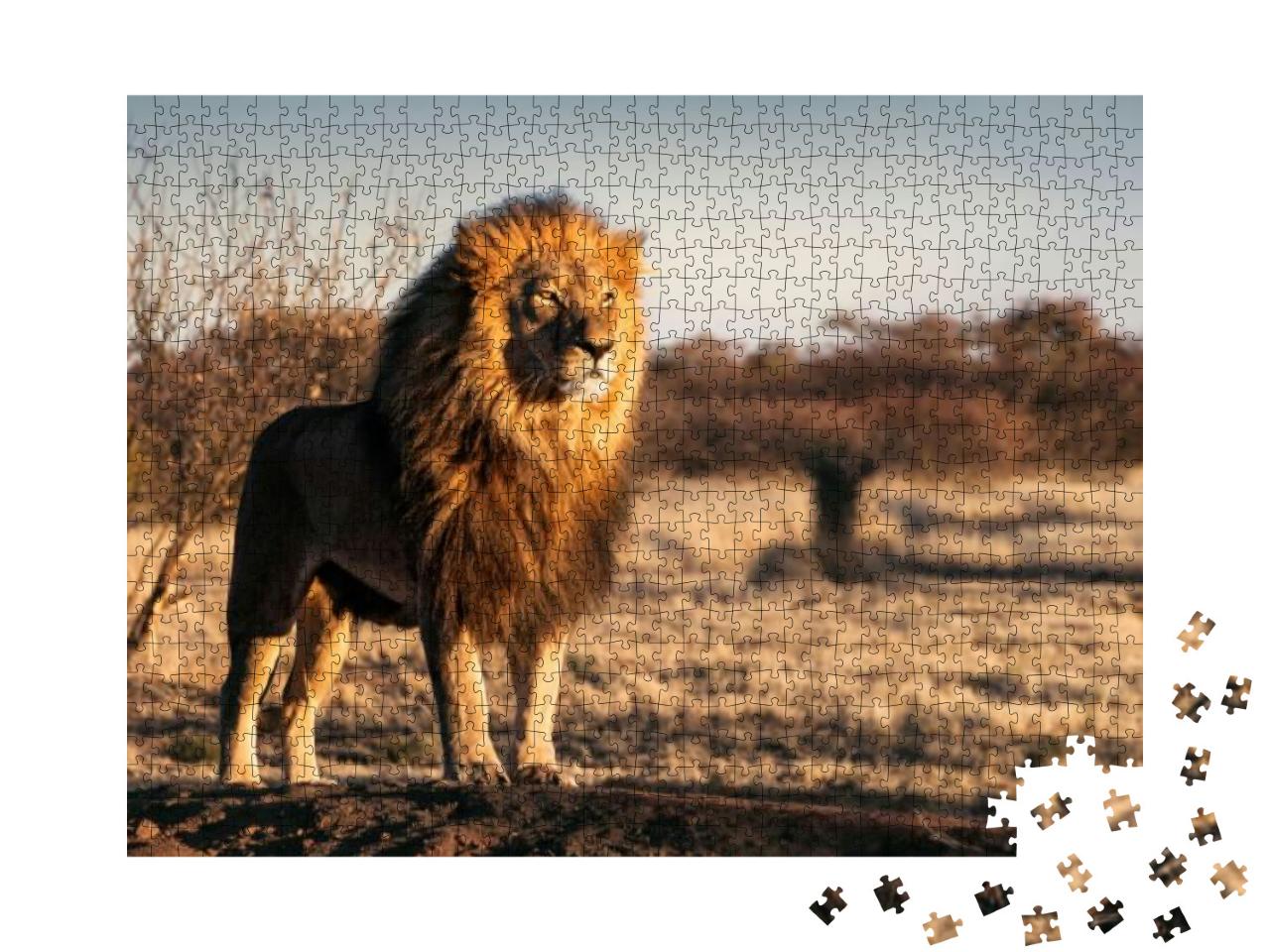 Single Lion Looking Regal Standing Proudly on a Small Hil... Jigsaw Puzzle with 1000 pieces