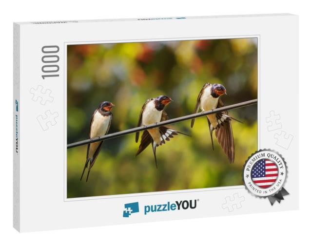 Close Up of Cute Swallow Chicks in the Nest... Jigsaw Puzzle Jigsaw Puzzle with 1000 pieces