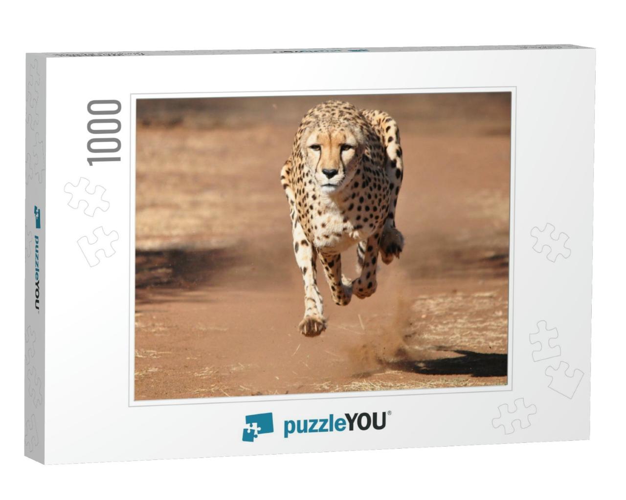 Cheetah Running, Completely Airborne... Jigsaw Puzzle with 1000 pieces