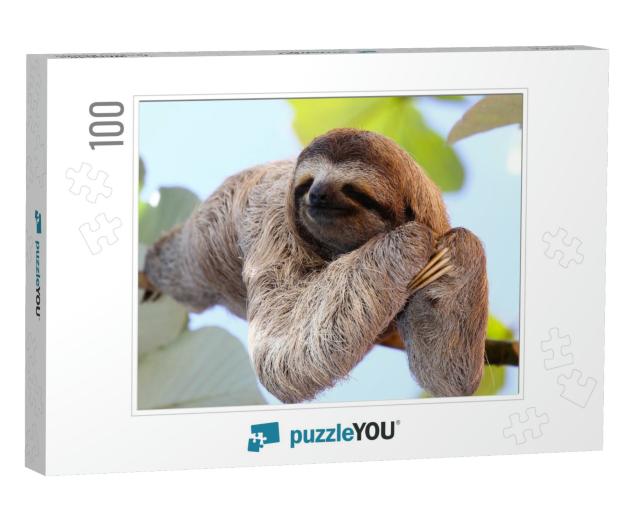 Happy Sloth Hanging on the Tree... Jigsaw Puzzle with 100 pieces