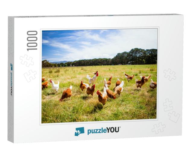 A Flock of Chickens Roam Freely in a Lush Green Paddock N... Jigsaw Puzzle with 1000 pieces