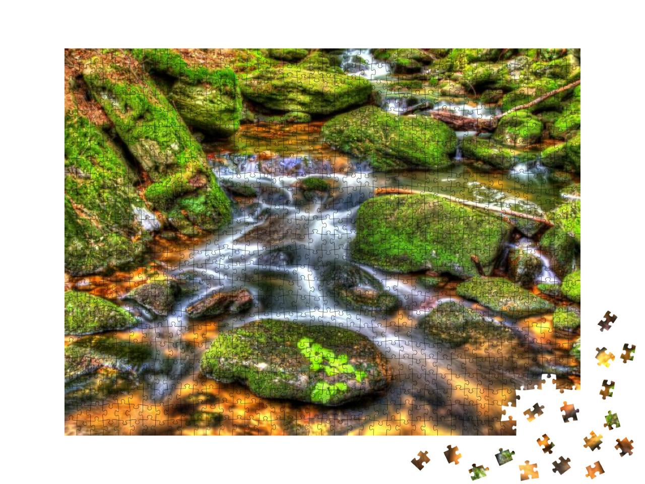 Bavarian Forest, Brook in the Forest, Germany... Jigsaw Puzzle with 1000 pieces