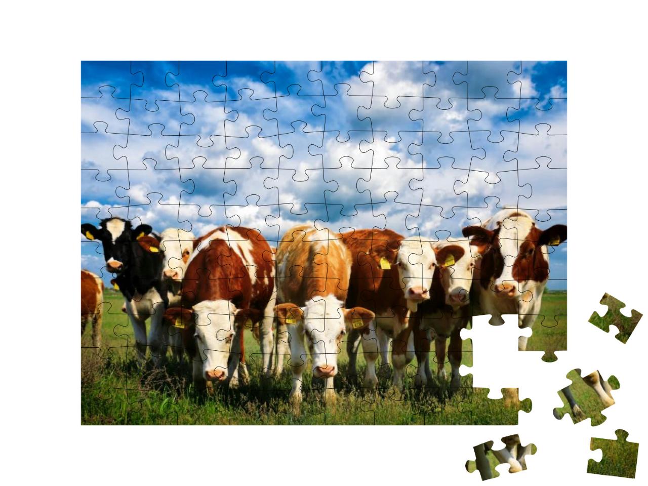 Cows on a Green Summer Meadow... Jigsaw Puzzle with 100 pieces