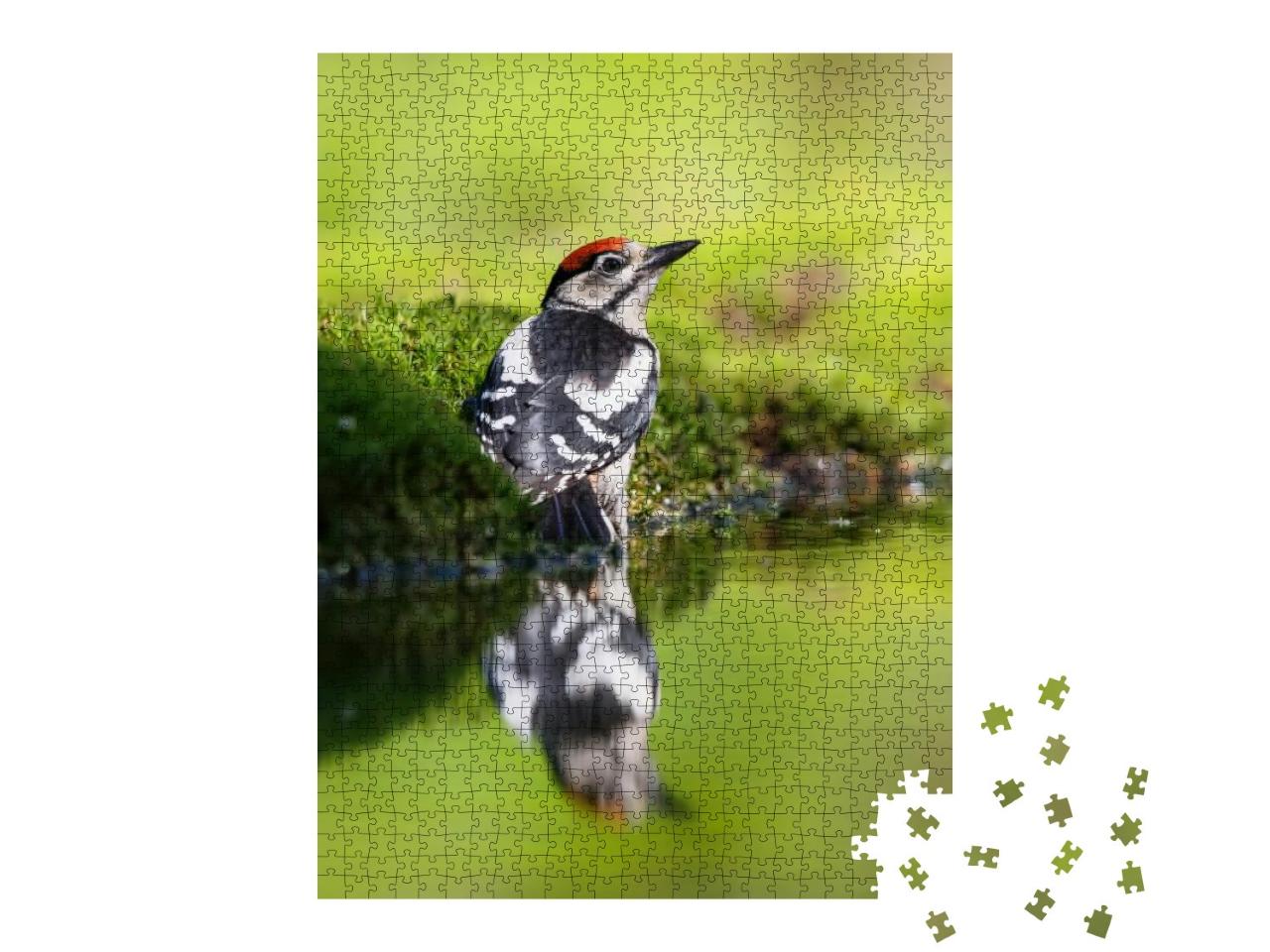 Great Spotted Woodpecker Dendrocopos Major Sitting on the... Jigsaw Puzzle with 1000 pieces