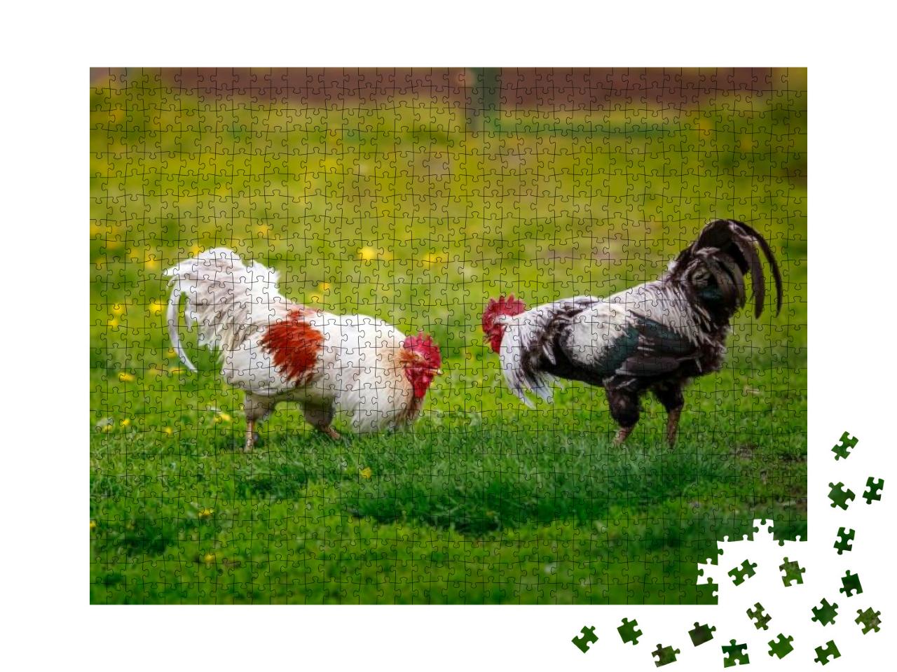 Two Roosters Black & White Fight on the Green Grass in th... Jigsaw Puzzle with 1000 pieces