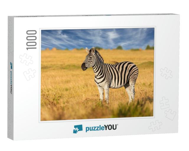 African Plains Zebra on the Dry Brown Savannah Grasslands... Jigsaw Puzzle with 1000 pieces