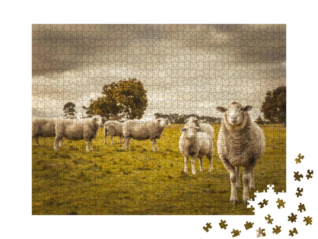 Australian Countryside Rural Autumn Landscape. Group of S... Jigsaw Puzzle with 1000 pieces