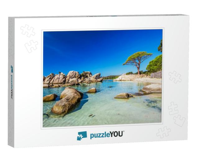 Famous Pine Tree on Palombaggia Beach with Azure Clear Wa... Jigsaw Puzzle
