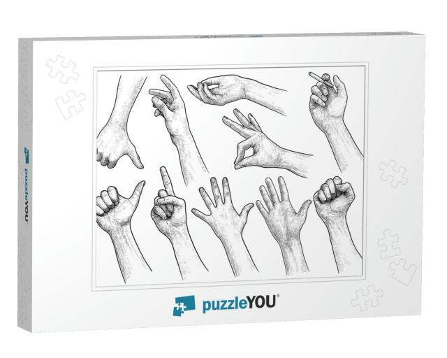 Hand Gesture Collection Illustration, Drawing, Engraving... Jigsaw Puzzle