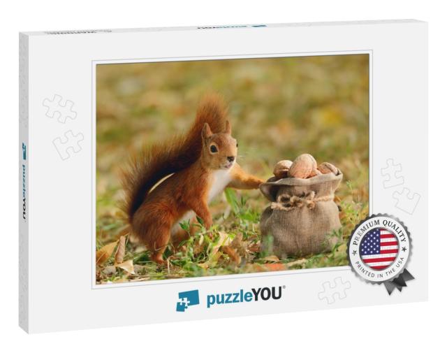 Portrait of a Red Squirrel Holding a Bag with Nuts... Jigsaw Puzzle