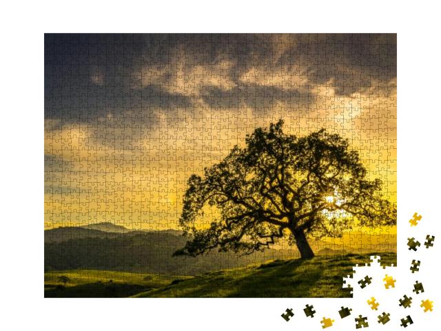 Sunset Through an Oak Tree Near San Jose California... Jigsaw Puzzle with 1000 pieces