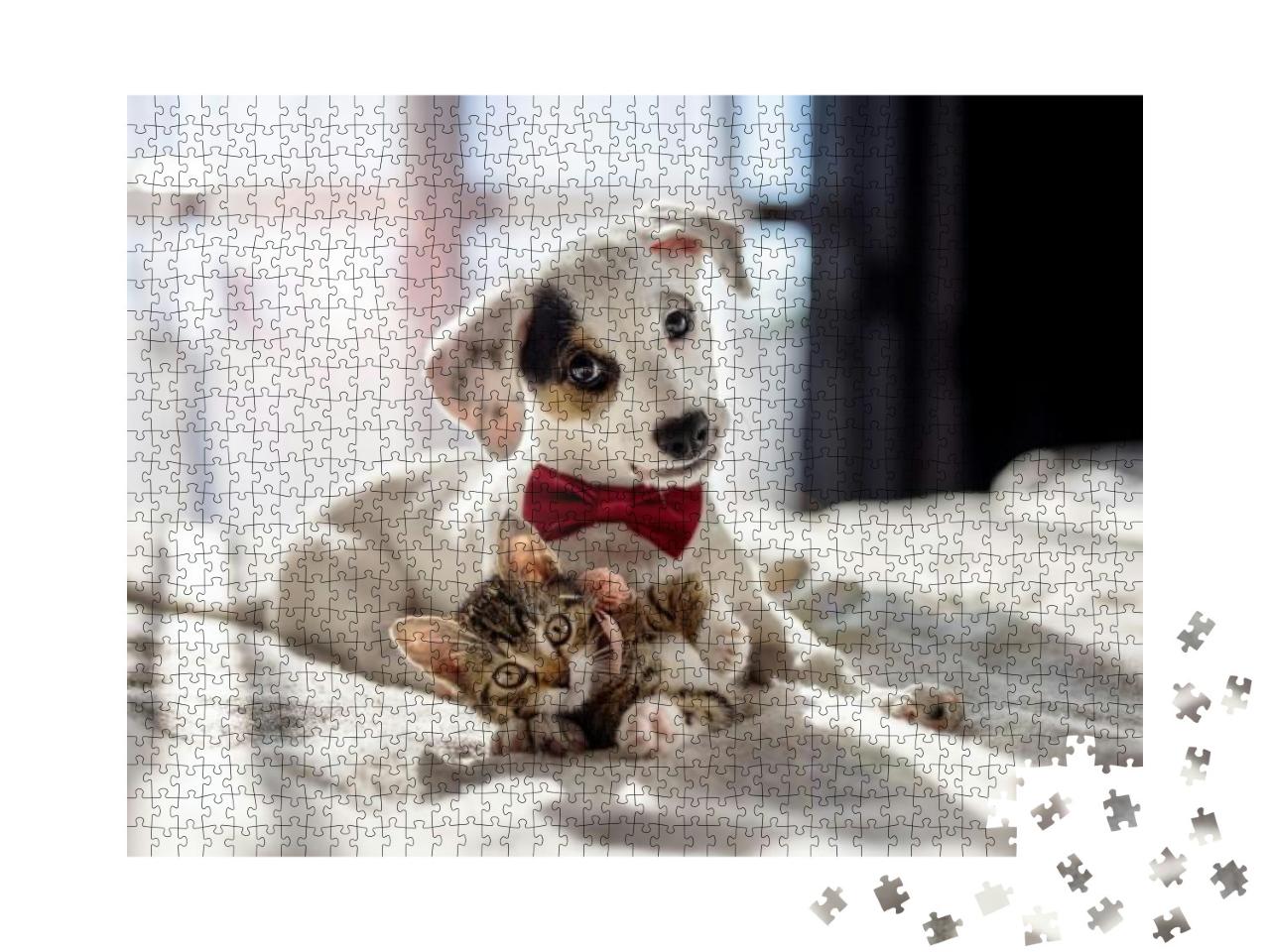 Puppy & Kitten Hugging on the Bed as a Best Friends... Jigsaw Puzzle with 1000 pieces