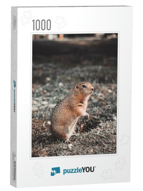 Forest Animal Gopher Eats in His Hole in a Clearing with... Jigsaw Puzzle with 1000 pieces
