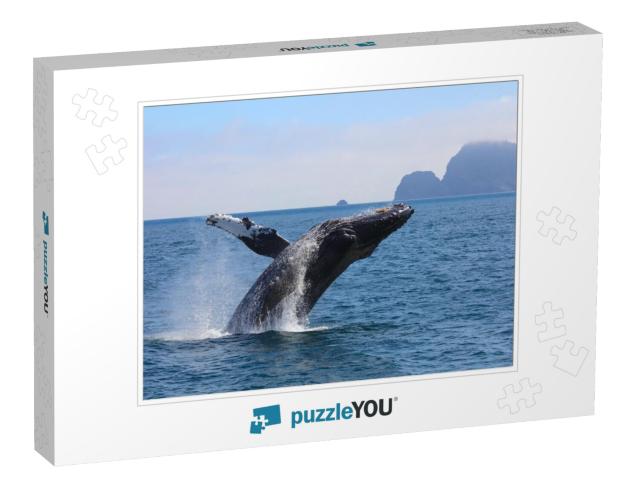 Humpback Whale Breaching Kenai Fjords National Park Alask... Jigsaw Puzzle