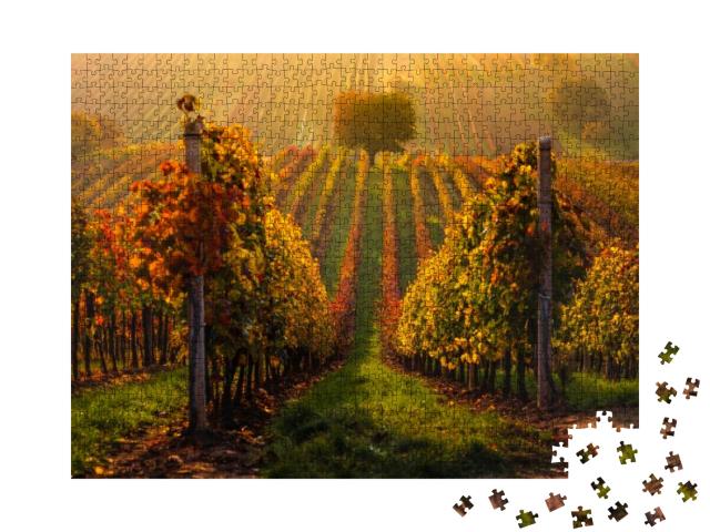 Autumn in Moravian Vineyards Near Velke Bilovice in Czech... Jigsaw Puzzle with 1000 pieces