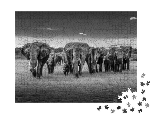 Elephant Loxodonta Africana in Tanzania... Jigsaw Puzzle with 1000 pieces
