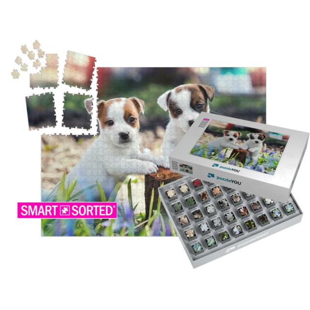Two White Puppy Jack Russell Terrier Standing on Tree Stu... | SMART SORTED® | Jigsaw Puzzle with 1000 pieces