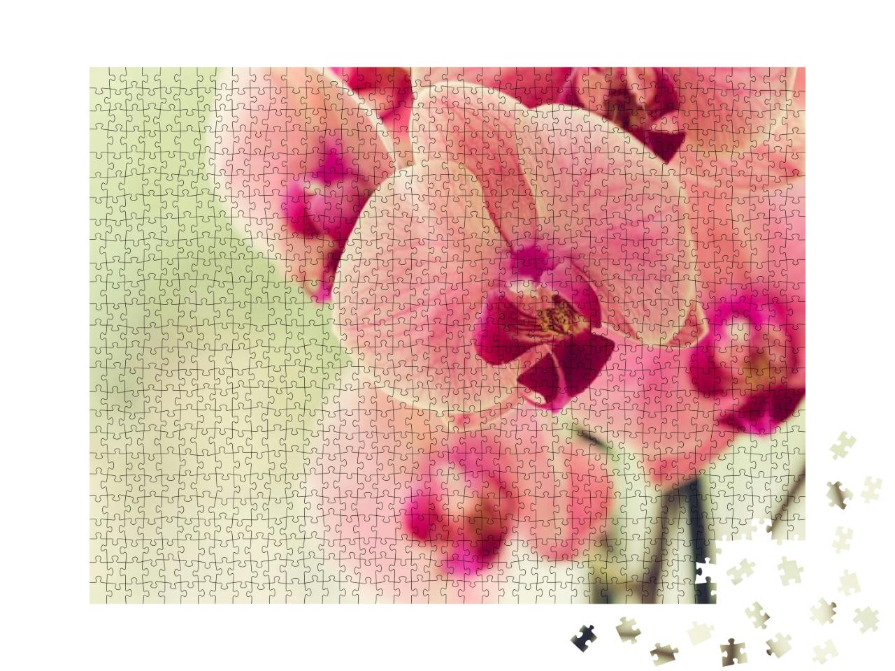 Branch of Blooming Pink Orchid Close Up... Jigsaw Puzzle with 1000 pieces