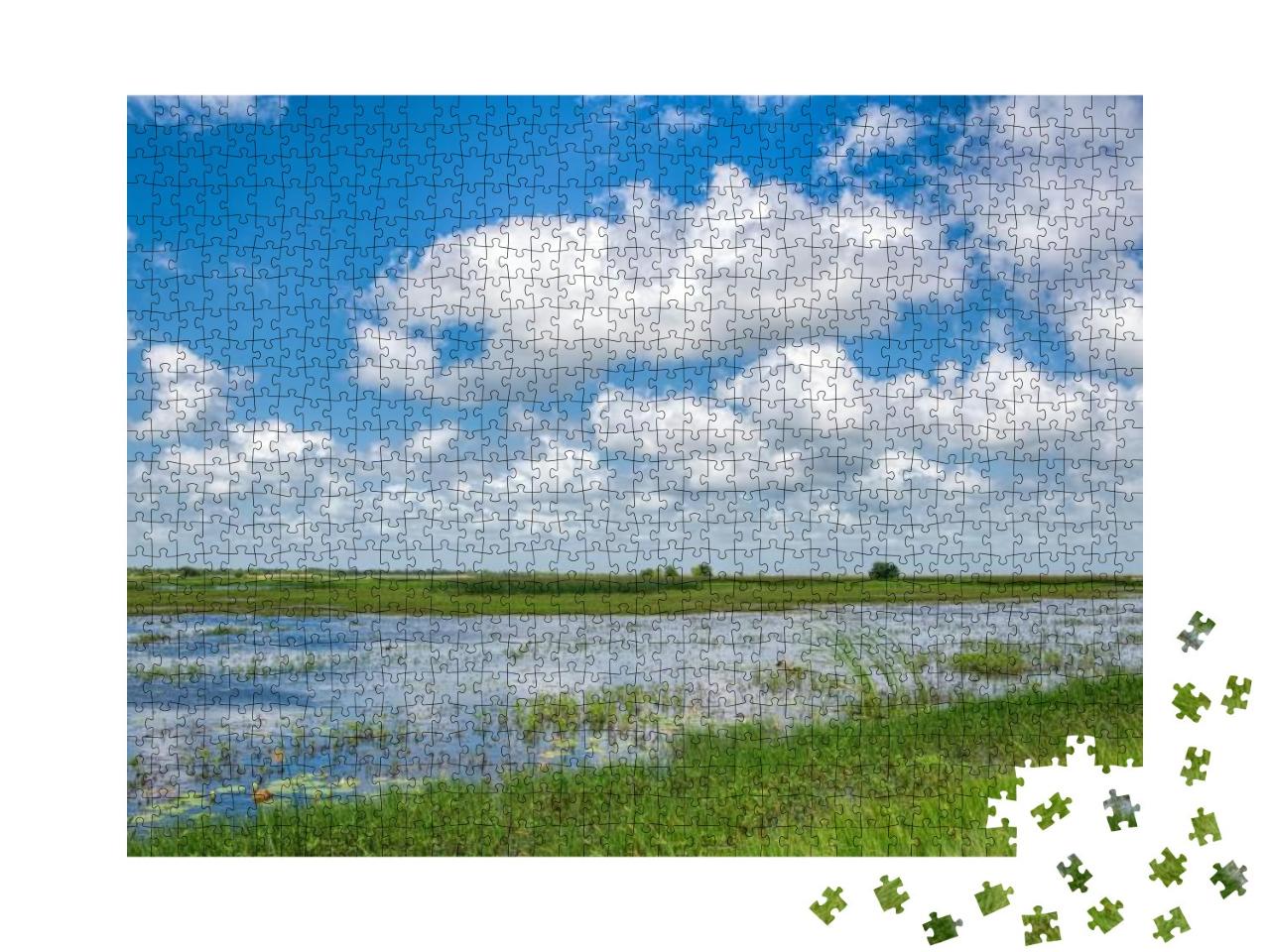 Cameron Marsh Lands on a Day in May with Blue Skies & Cum... Jigsaw Puzzle with 1000 pieces