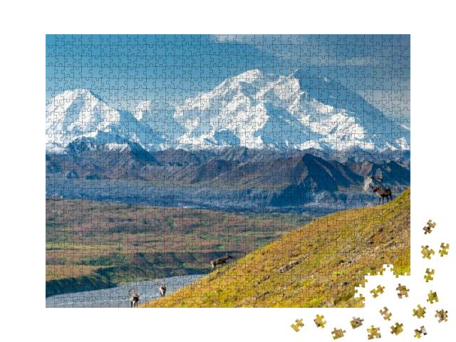 Caribou Deer in Front of Mount Denali, Denali Np, Alaska... Jigsaw Puzzle with 1000 pieces