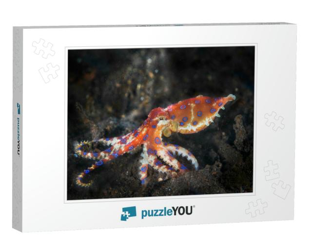 Blue Rings Octopus. the Most Dangerous Underwater Octopus... Jigsaw Puzzle