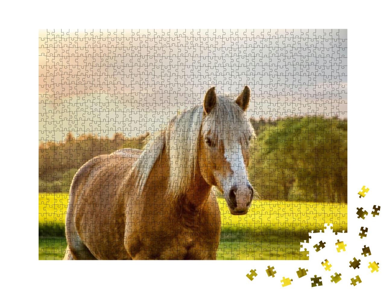 Horse in the Golden Light. Stetice, Czechia, Spring 2018... Jigsaw Puzzle with 1000 pieces