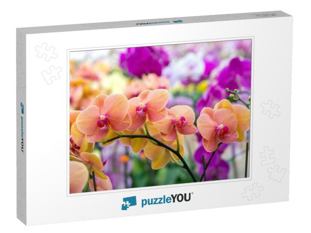 Phalaenopsis Orchids Flowers Bloom in Spring Adorn the Be... Jigsaw Puzzle