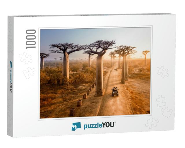 Beautiful Baobab Trees Avenue of the Baobabs in Madagasca... Jigsaw Puzzle with 1000 pieces