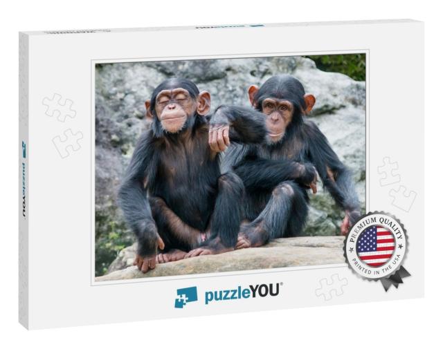 Two Playful Baby Chimpanzees Sitting Side by Side... Jigsaw Puzzle