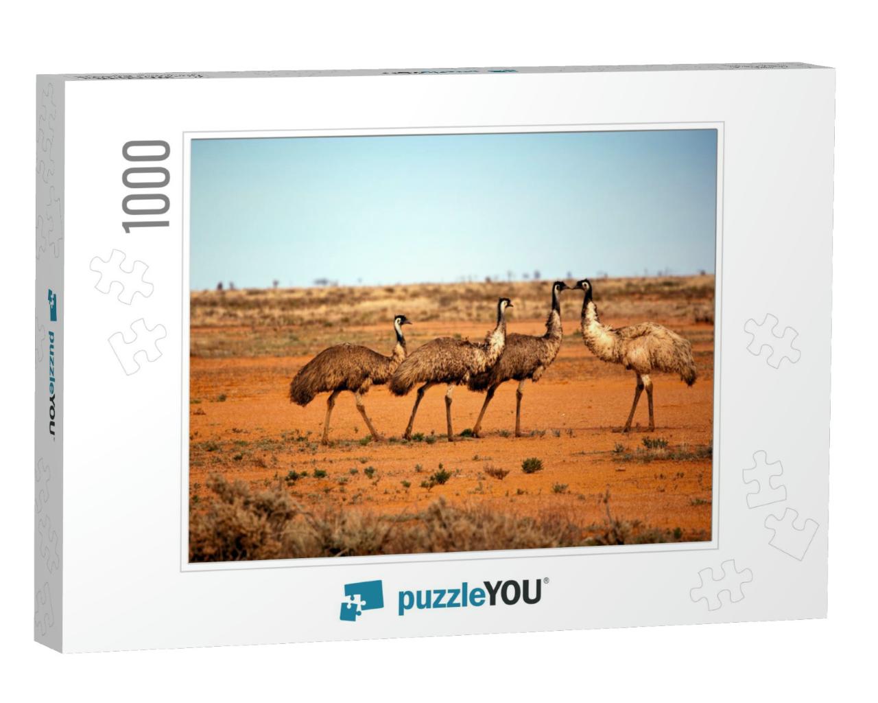 Emus in the Wild, Outback New South Wales, Australia... Jigsaw Puzzle with 1000 pieces