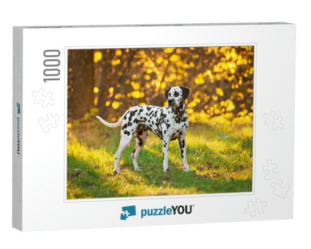 Dalmatian Dog At Sunset... Jigsaw Puzzle with 1000 pieces