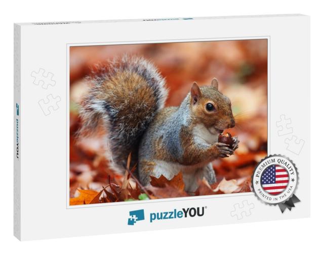 Squirrel, Autumn, Acorn & Dry Leaves... Jigsaw Puzzle