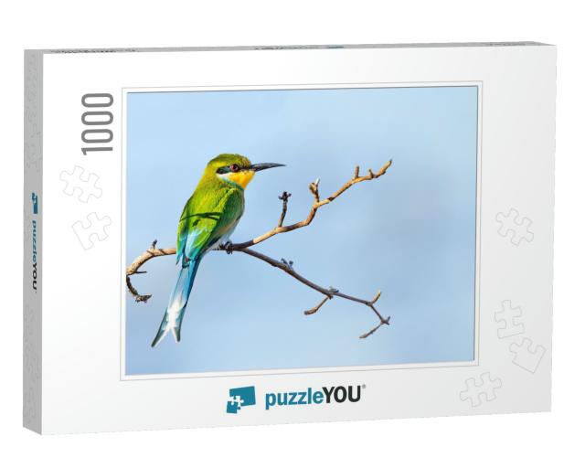 Swallow-Tailed Bee-Eater Merops Hirundineus Perched on Ac... Jigsaw Puzzle with 1000 pieces