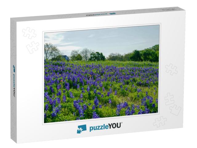 View of Bluebonnet Wildflowers Along Countryside Near the... Jigsaw Puzzle