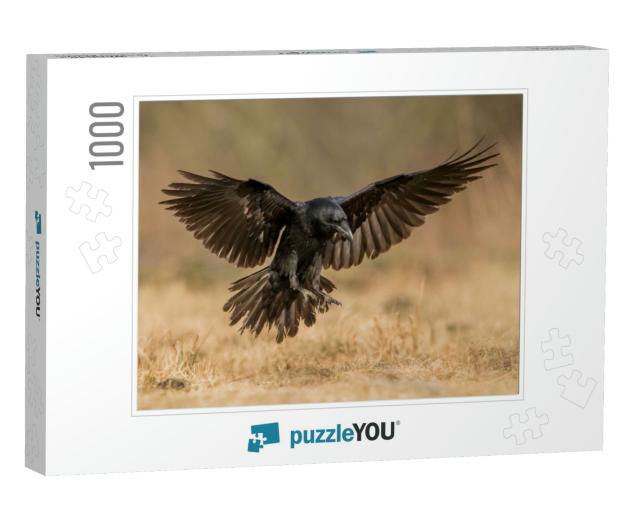 Raven Corvus Corax... Jigsaw Puzzle with 1000 pieces