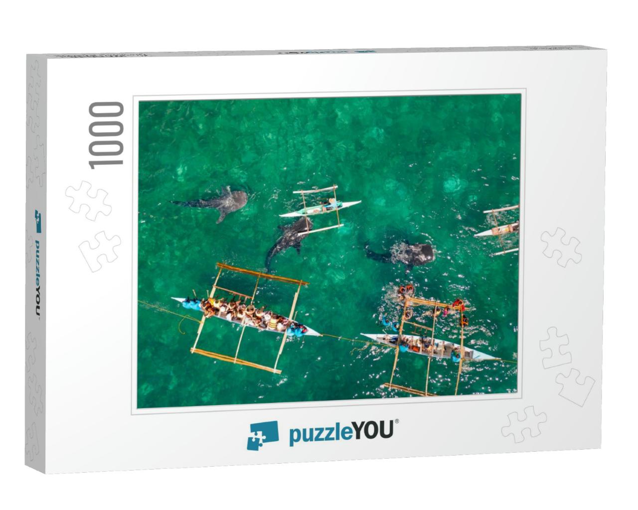 Tourists Are Watching Whale Sharks in the Town of Oslob... Jigsaw Puzzle with 1000 pieces