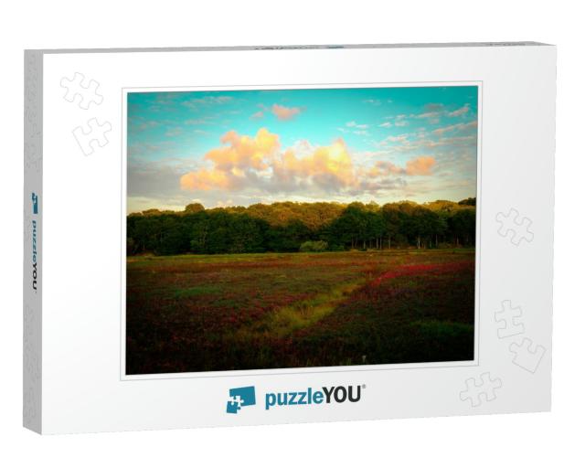 Dramatic Cloudscape Over the Cranberry Bog in Autumn on T... Jigsaw Puzzle